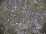 image of grave number 953925